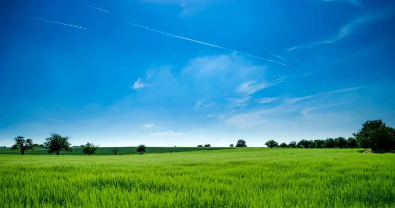 sky image